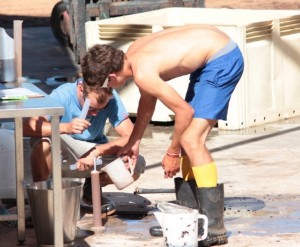 Vondeling - Nick and Emile checking the sugars!