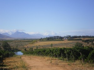 Vondeling - Part of Bryn's view