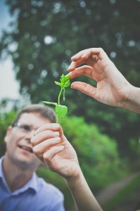 Vale House Kirchen - Foraging