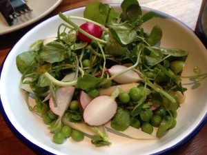 Gordito - Salad