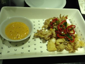 CAU Bristol - Squid