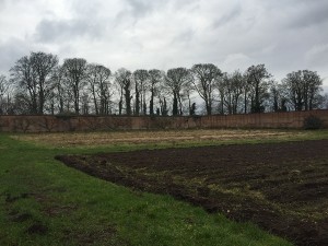 Leigh Court Farm - Walled Garden