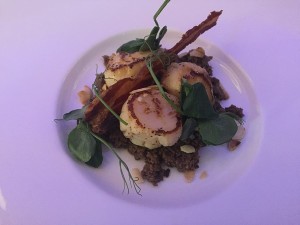 Aquila - Scallops