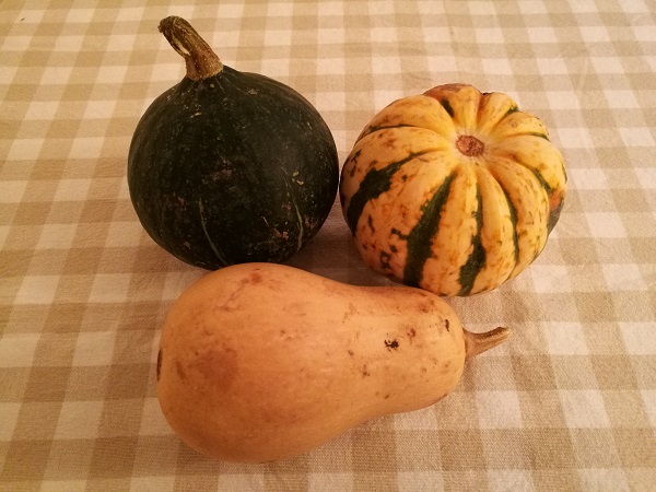 Squashes