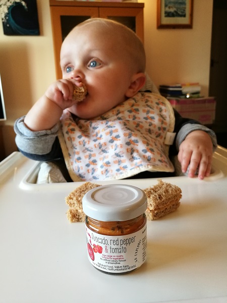 BabyLed Spreads - sandwich