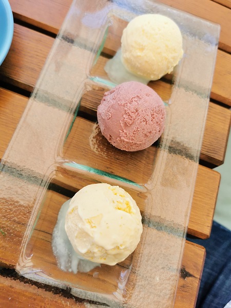 Curious Kitchen Aztec Hotel and Spa - Ice Cream and Sorbet