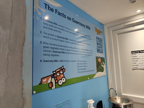 Chew Moo's Ice Cream - Guernsey Milk Facts