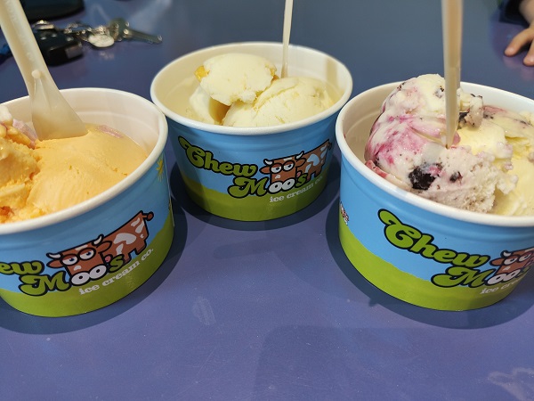 Chew Moo's Ice Cream - Ice Cream Servings