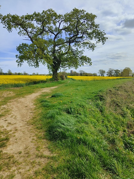 Rougham Estate Walk