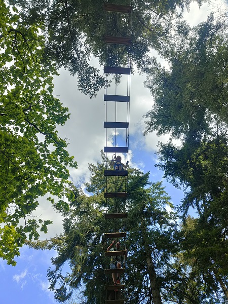 Go Ape Treetop Adventure, Thetford Forest 1