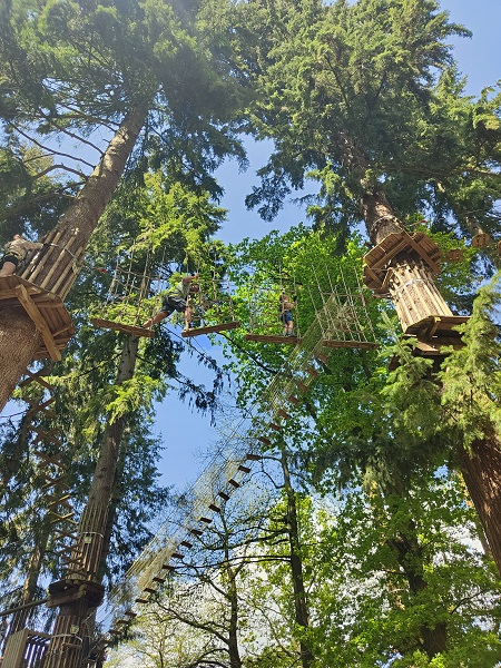 Go Ape Treetop Adventure, Thetford Forest 4