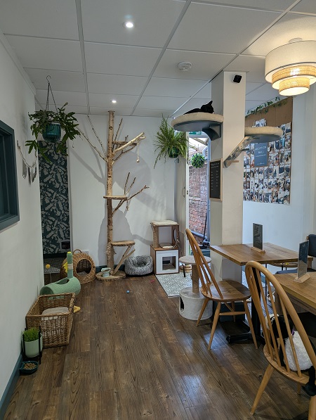 Finnegan's Whiskers Cat Cafe in Suffolk - Interior 1
