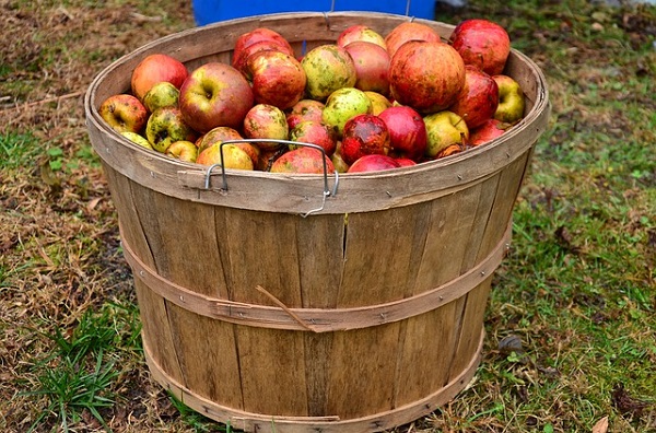 Cider Salon Bristol
