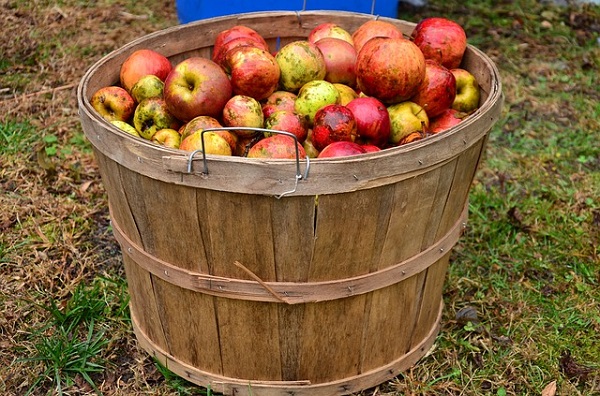 Cider Salon Bristol