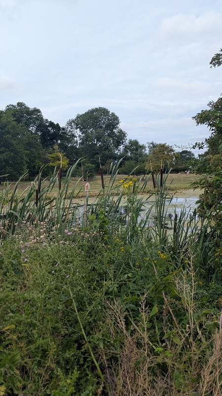Pakenham Water Mill, Suffolk - Riverside Walk 1