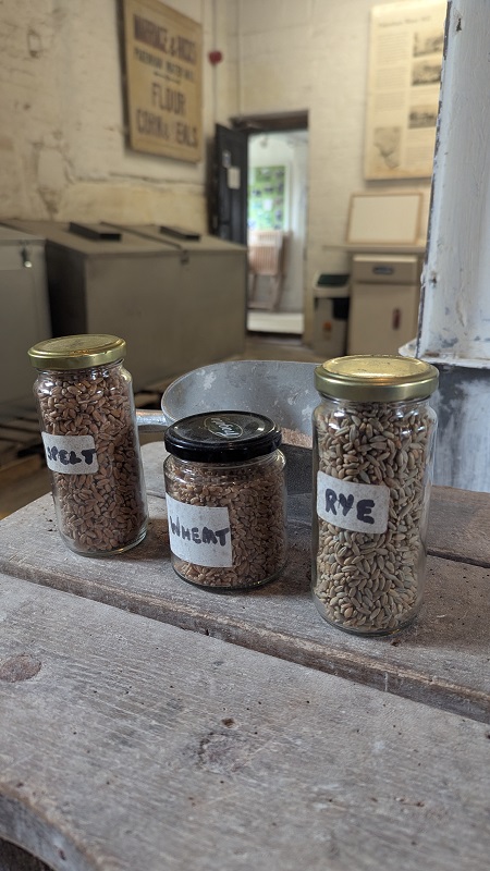 Pakenham Water Mill, Suffolk - Spelt, Wheat and Rye