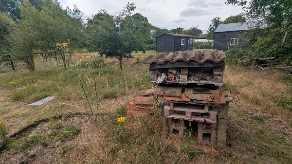 Pakenham Water Mill, Suffolk - Wildlife Garden