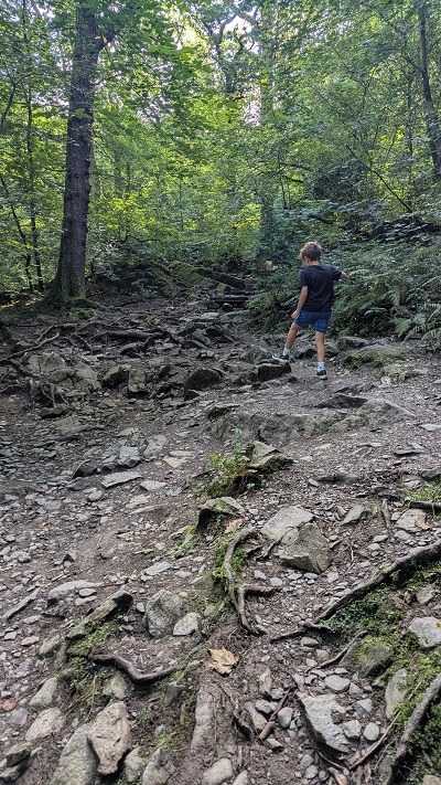 Lake District Tips - Stock Ghyll Force Walk